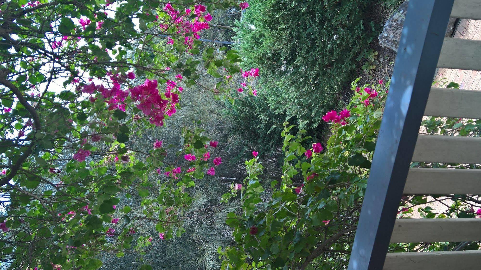 Linley House Bed & Breakfast Sydney Eksteriør bilde
