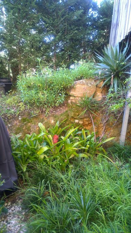 Linley House Bed & Breakfast Sydney Eksteriør bilde
